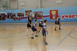 В Уссурийске состоялся турнир по волейболу на Кубок председателя Думы - «Новости Уссурийска»