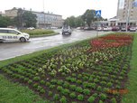 Красота в городе: в Уссурийске продолжается уход за растениями - «Новости Уссурийска»
