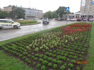 Красота в городе: в Уссурийске продолжается уход за растениями - «Новости Уссурийска»