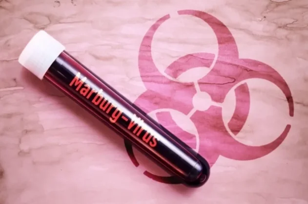 Ученые обеспокоены вирусом из Африки, вызывающим кровоизлияние в глаза - «Общество»