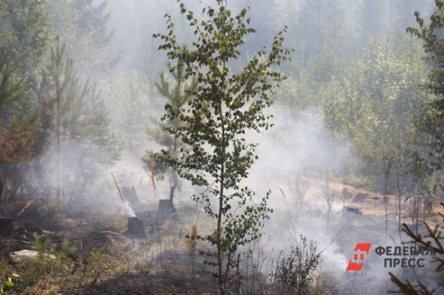 В Челябинской области продлили штормовое предупреждение